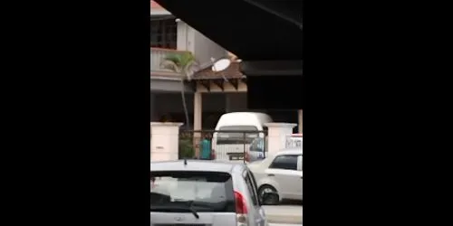 Aunty chopping down tree towards neighbour's side?