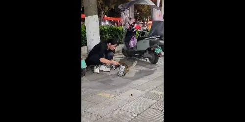 Cat found stuck with glue trap on body, woman steps in to help remove it - arief_mirul