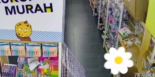 CCTV captures bizarre incident as woman allegedly leaves faeces inside shop - suhailililii