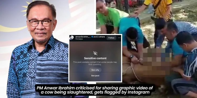 PM Anwar Ibrahim criticised for sharing graphic video of a cow being slaughtered, gets flagged by Instagram