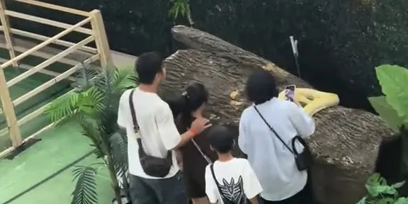📍 A TikTok user has raised concerns over poor animal welfare at an indoor petting zoo in Paradigm Mall Johor Bahru