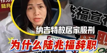 为什么陆兆福辞职？