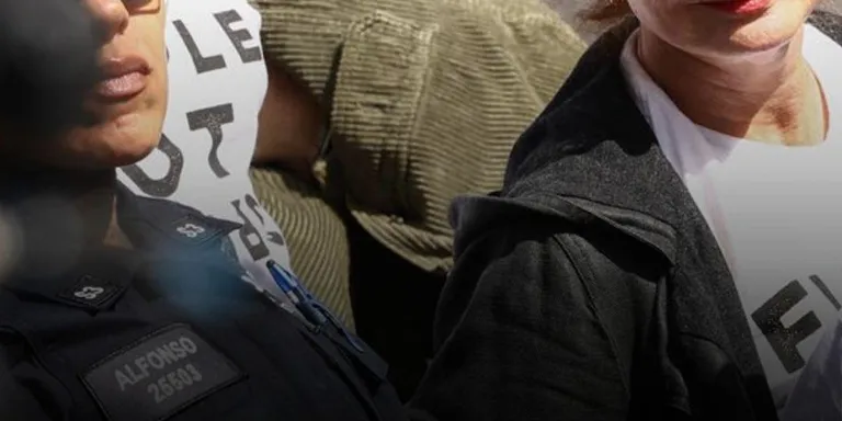 Susan Sarandon, Hannah Einbinder Detained During Protest Against Netanyahu