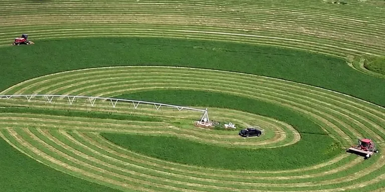 What are these giant green circles?