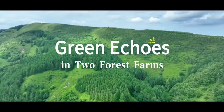 Green echoes in two forest farms