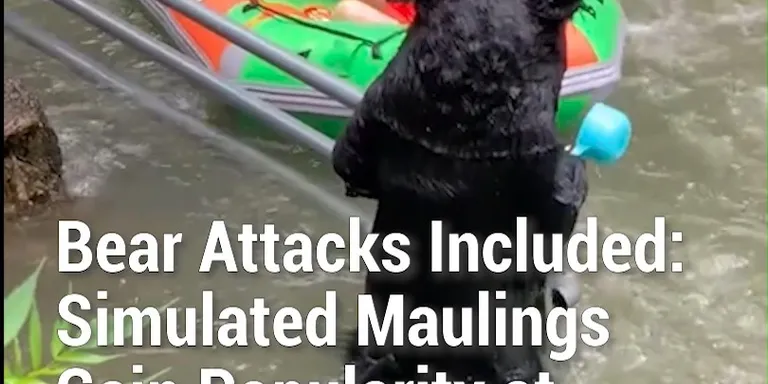 Some of China’s rafting attractions have added a wild twist this summer, hiding bear-costumed performers along their rivers to s...