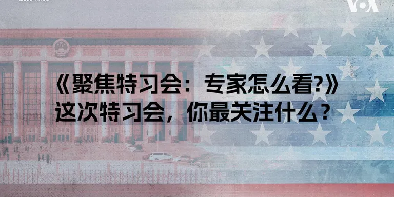 《聚焦特习会：专家怎么看？》峰会有哪些重要看点？