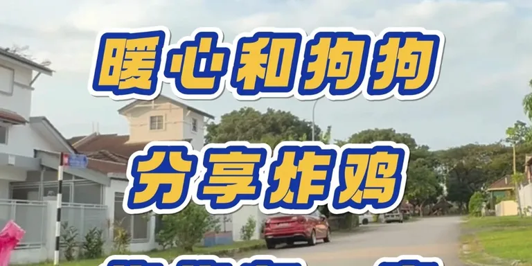 穆斯林不能碰狗，但他还是选择对狗狗释放善意🥰