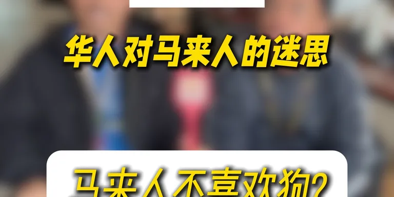 【华人对马来人的迷思 EP29】马来人不喜欢狗？🐕