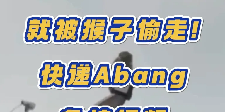 Abang差点背锅😂

#今天红什么 #noodou