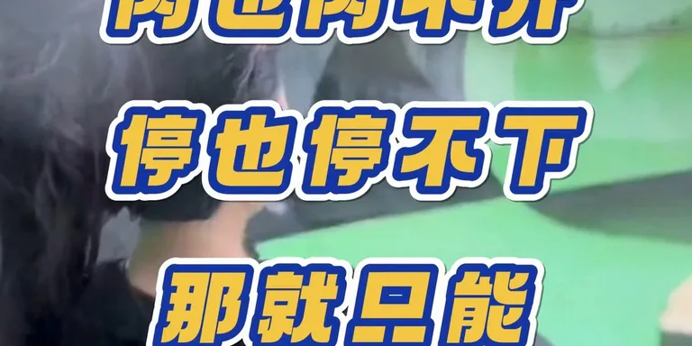 Sry bang！😭 撞上只是时间问题，礼貌要先到位😂