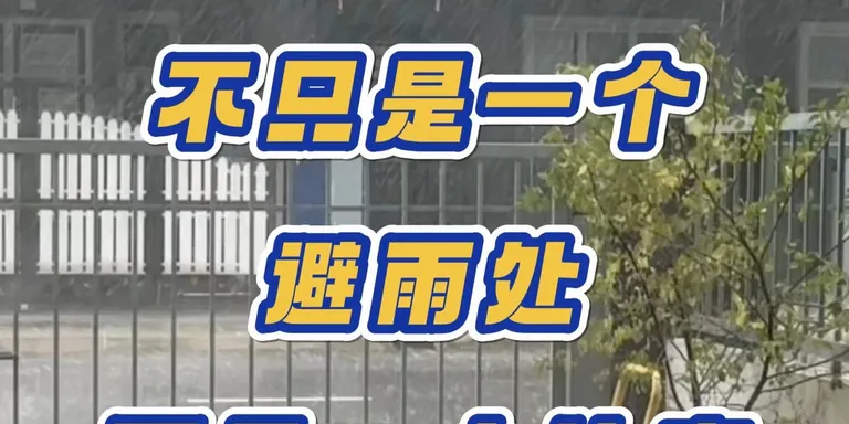 狗狗不会说话，但它知道谁疼它、谁对它好。它会用一次又一次的选择告诉你：我信任你。🥹🐶❤️