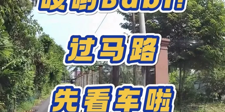 🐗看起来很赶时间！😂