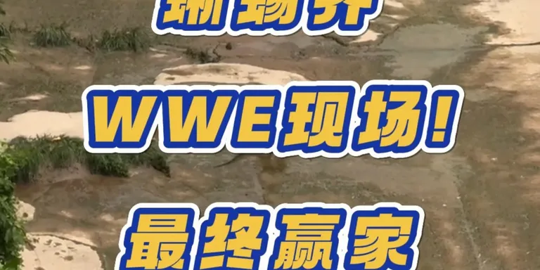 比赛太精彩！观众看得非常激动！🤣🦎