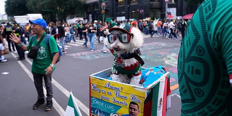 Meet Osito, the rescue dog winning hearts at the World Cup
